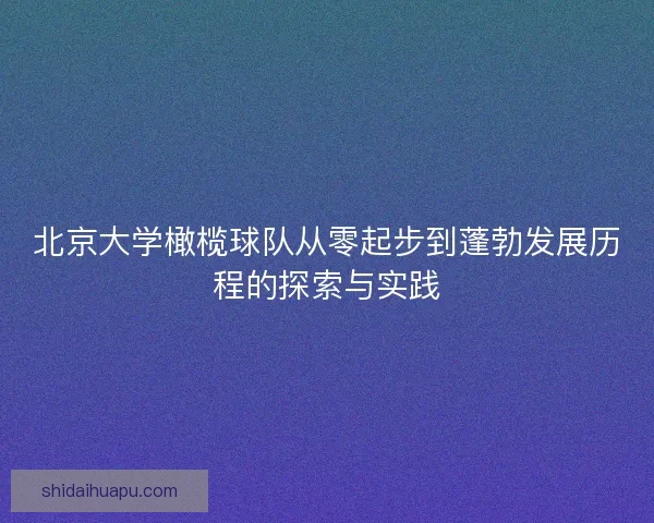 北京大学橄榄球队从零起步到蓬勃发展历程的探索与实践