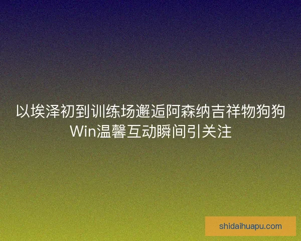 以埃泽初到训练场邂逅阿森纳吉祥物狗狗Win温馨互动瞬间引关注