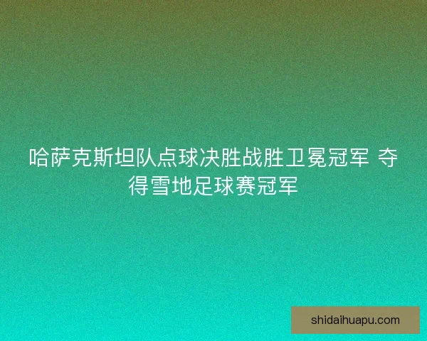 哈萨克斯坦队点球决胜战胜卫冕冠军 夺得雪地足球赛冠军